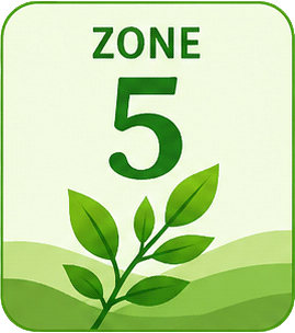 beginner plants Easy Care Variety Bundle