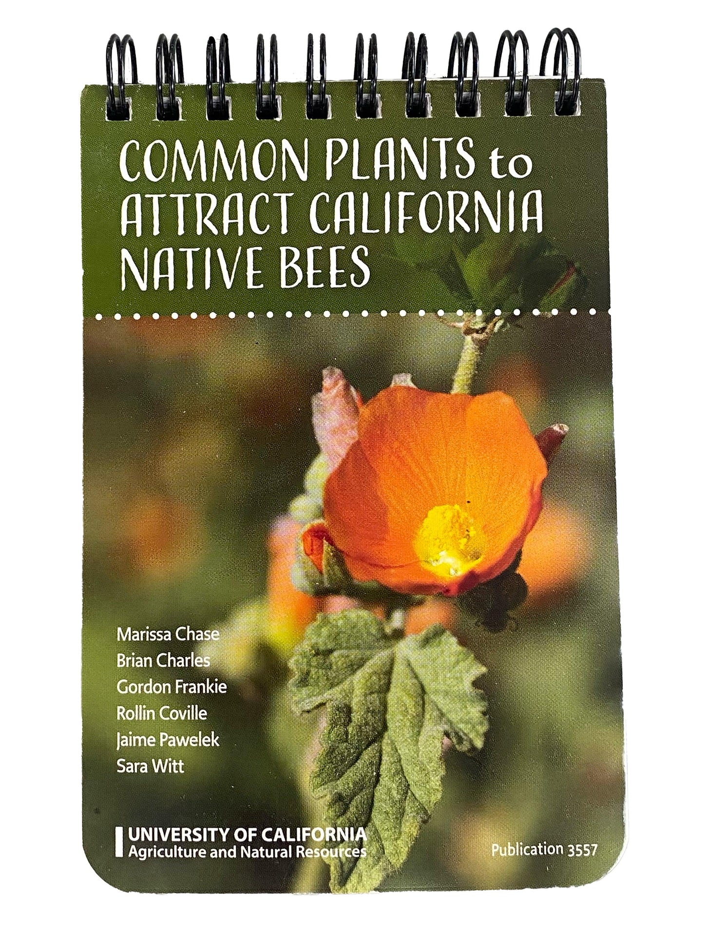 Common Plants to Attract California Native Bees Books Annie's Annuals and Perennials