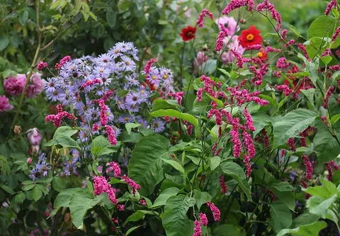 Fine Gardening Here We Come!
