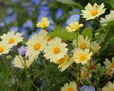 It’s starting to happen!