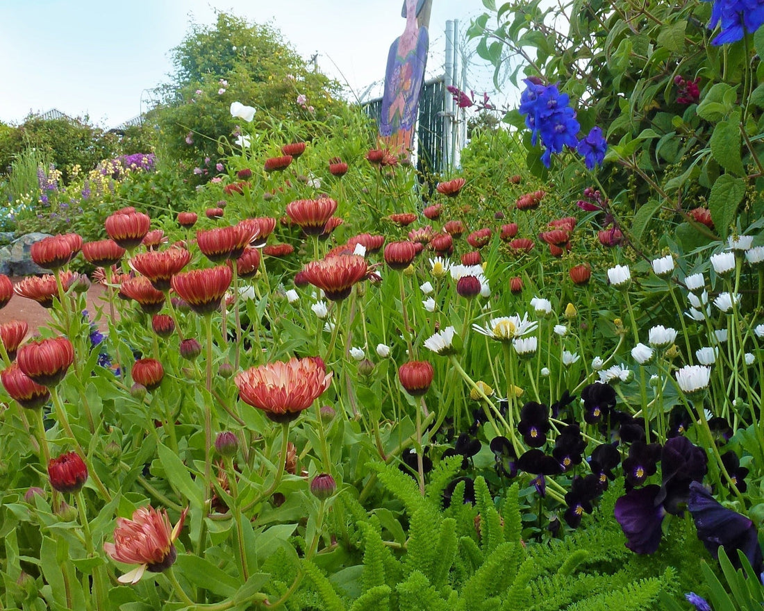 Spring Gardens Report Card