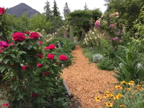 Join us in Paradise – Kate’s Frey’s Open Garden!