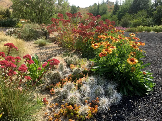 Fire-Safe Landscaping with Kate Frey