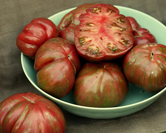 Our Favorite Tomatoes!