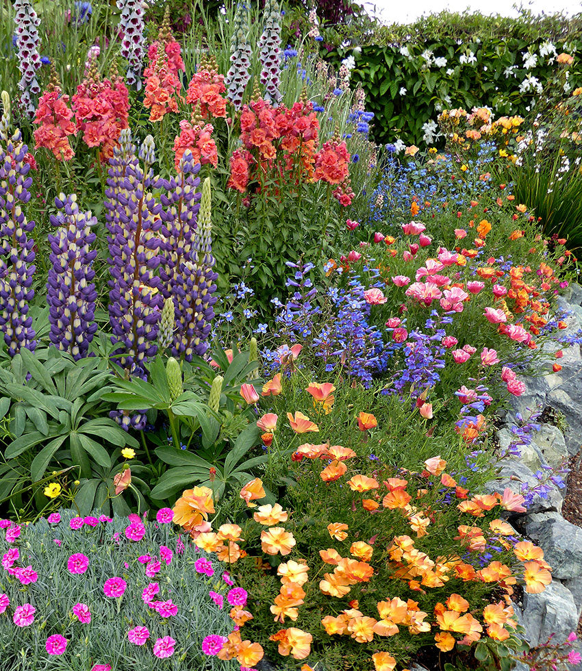 Beautiful Garden with a great variety of flowers