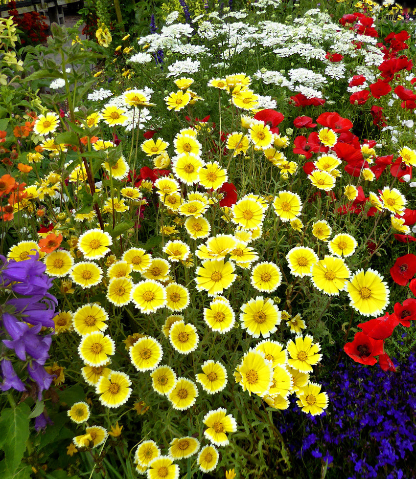 Great for Containers