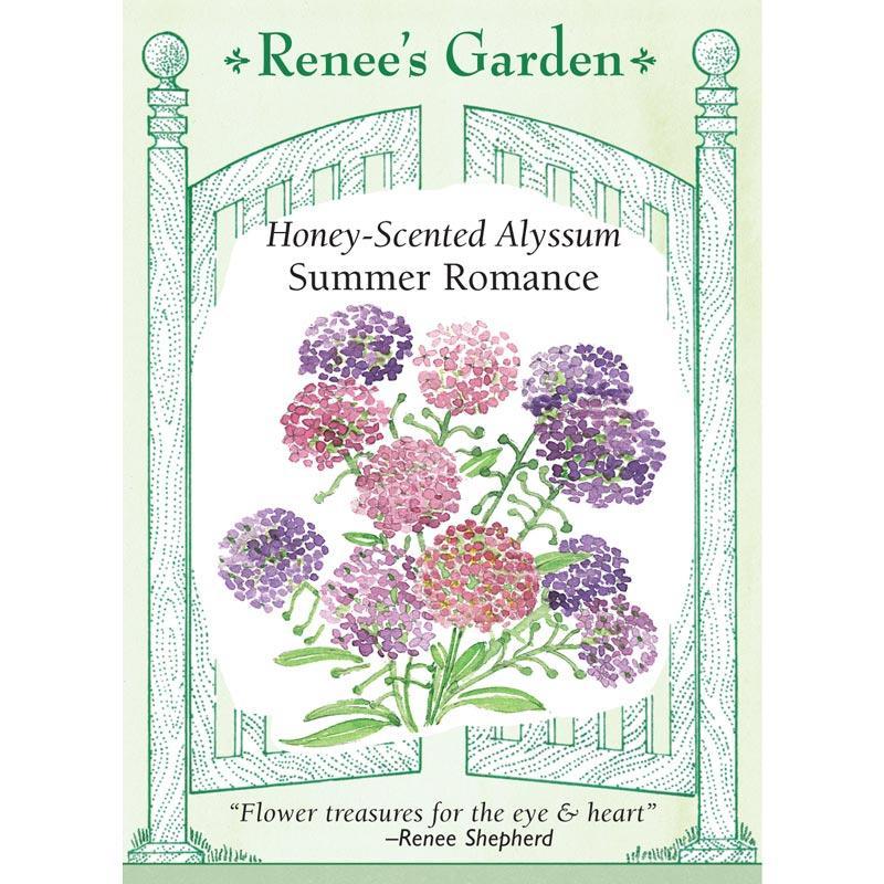 Front of a Summer Romance Honey-Scented Alyssum seed packet