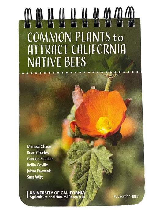 Common Plants to Attract California Native Bees Books Annie's Annuals and Perennials