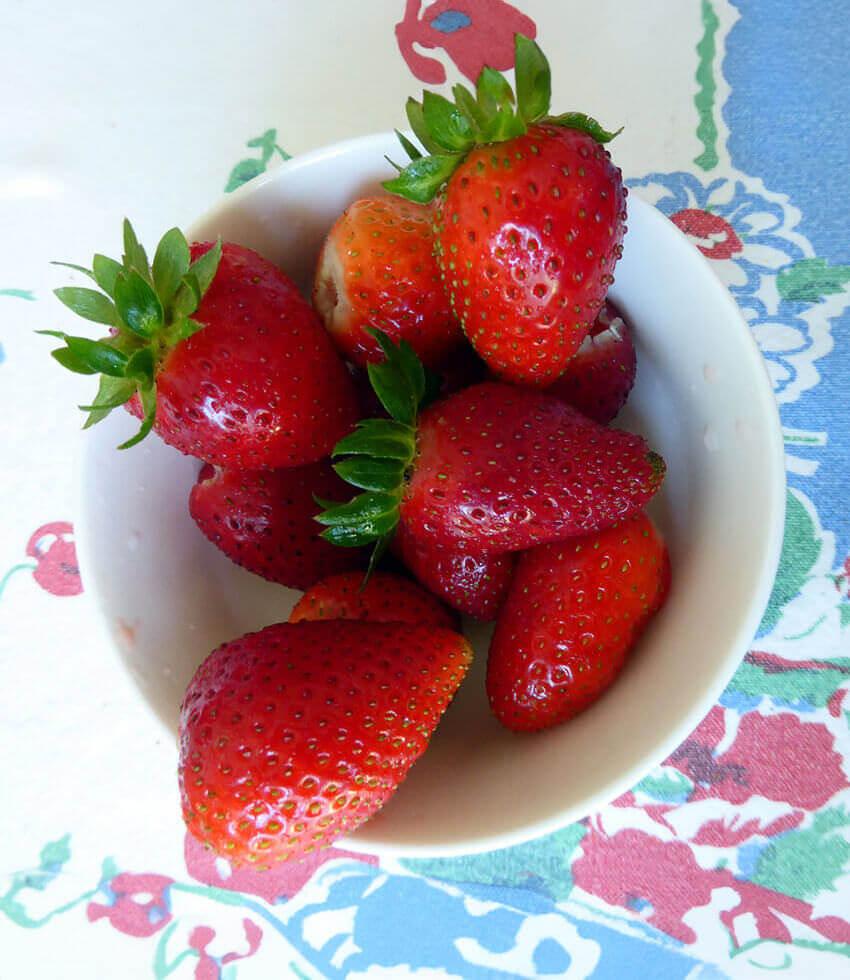 Fragaria x ananassa - Elan Strawberry – Annie's Annuals & Perennials