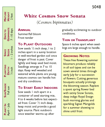 Sonata Mix Kneehigh Cosmos Seeds Flower Seeds Renee's Garden and Perennials