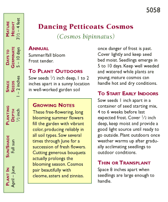 Dancing Petticoats Specialty Cosmos Seeds Flower Seeds Renee's Garden and Perennials