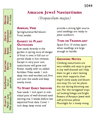 Amazon Jewel Climbing Nasturtium Seeds Flower Seeds Renee's Garden and Perennials