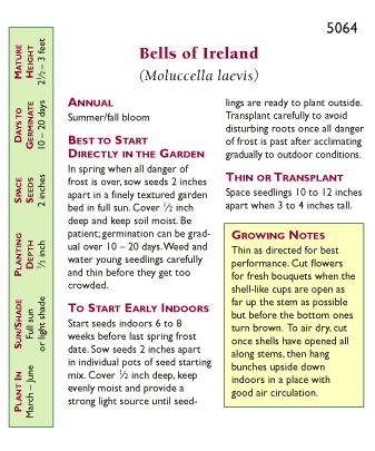 Antique Apple Green Bells of Ireland Seeds Flower Seeds Renee's Garden and Perennials