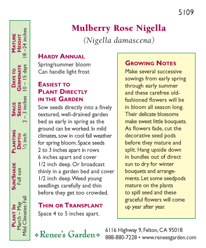 Mulberry Rose Love In A Mist Nigella Seeds Flower Seeds Renee's Garden and Perennials
