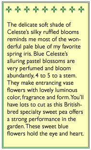 Blue Celeste Exhibition Sweet Pea packet description
