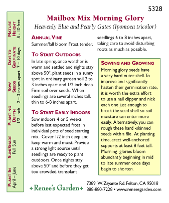 Mailbox Mix Heirloom Morning Glory Seeds Flower Seeds Renee's Garden and Perennials