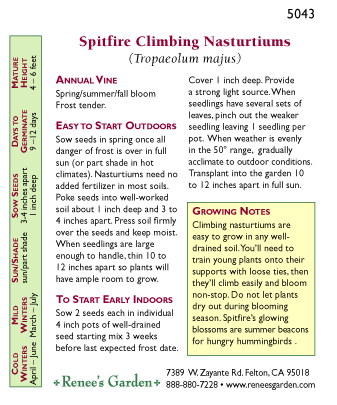 Spitfire Climbing Nasturtium Seeds Flower Seeds Renee's Garden and Perennials