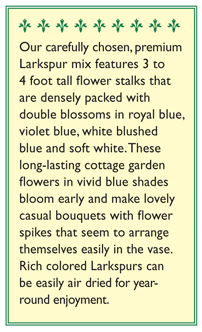 Singing the Blues Bouquet Larkspur Seeds Flower Seeds Renee's Garden and Perennials