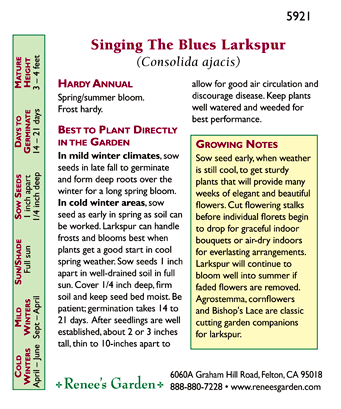 Singing the Blues Bouquet Larkspur Seeds Flower Seeds Renee's Garden and Perennials