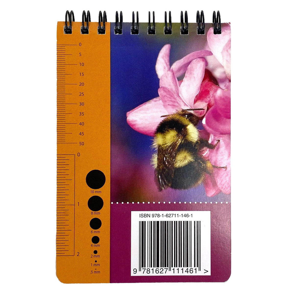 Common Bees in California Gardens ID Cards Books University of California - Agriculture and Natural Resources and Perennials