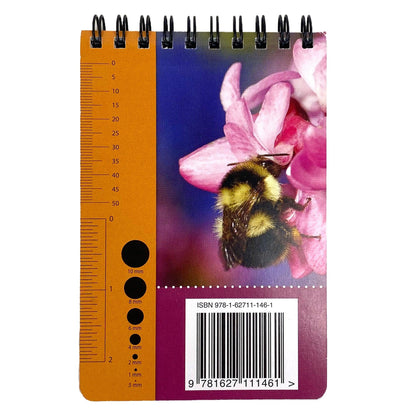 Common Bees in California Gardens ID Cards Books University of California - Agriculture and Natural Resources and Perennials