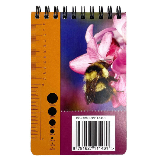 Common Bees in California Gardens ID Cards Books University of California - Agriculture and Natural Resources and Perennials