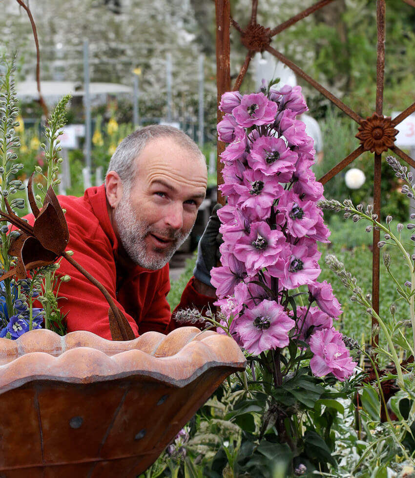 Delphinium Elatum - Dusky Maidens Annie's Annuals Annie's Annuals and Perennials