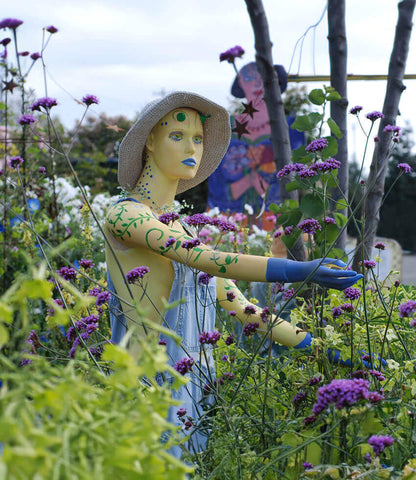 Verbena bonariensis Annie's Annuals Annie's Annuals and Perennials
