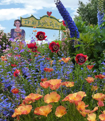 Papaver hybridum - Raspberry Breadseed Annie's Annuals Annie's Annuals and Perennials