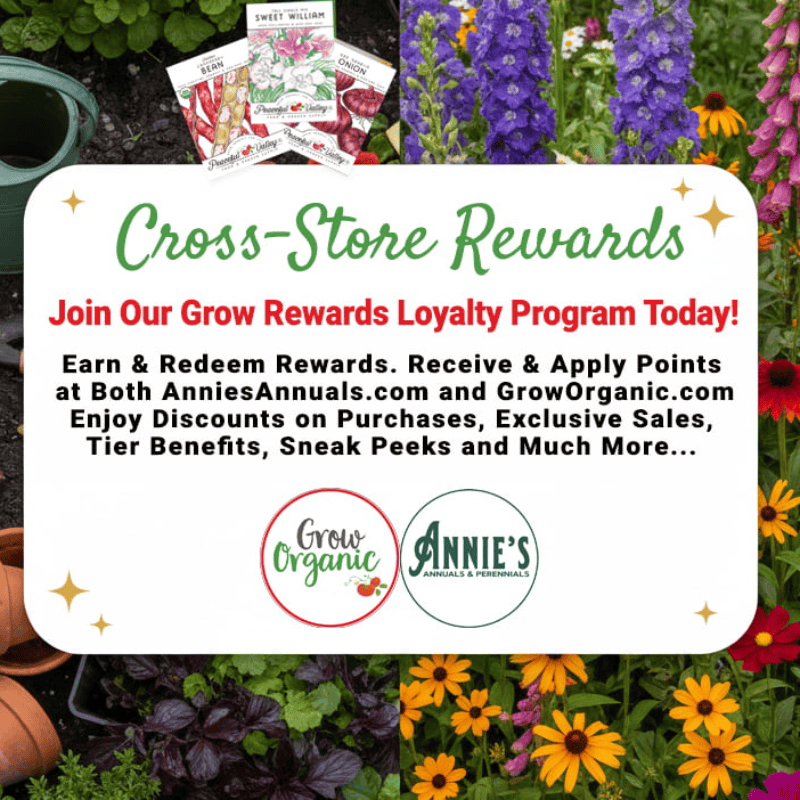 Grow Rewards Loyalty Program - Cross Store Rewards