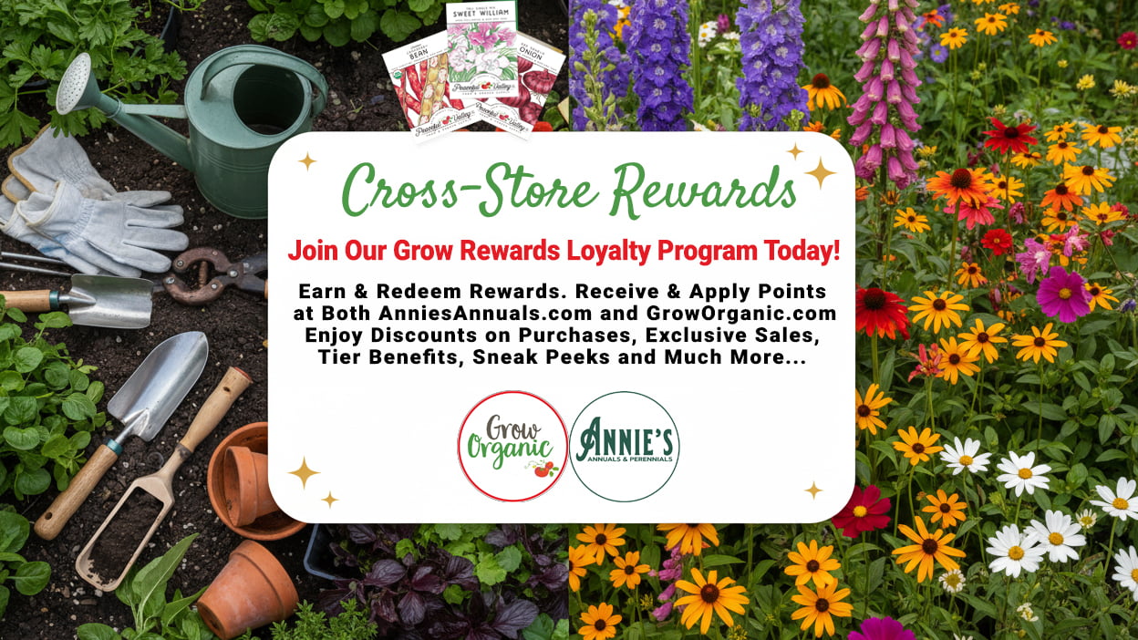 Grow Rewards Loyalty Program - Cross Store Rewards