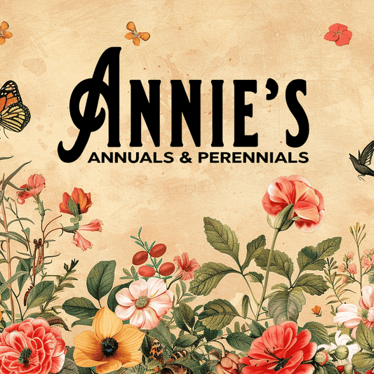 Annies Annuals Gift Card Annie's Annuals & Perennials and Perennials