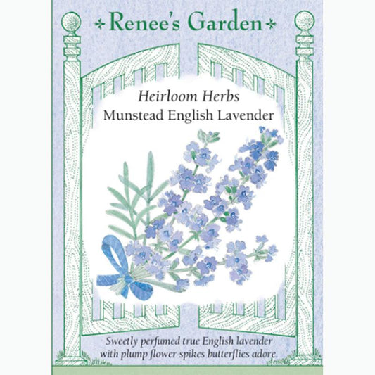 Munstead English Lavender Seeds Flower Seeds Renee's Garden and Perennials