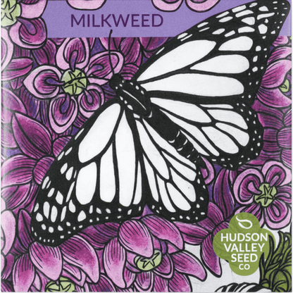 Common Milkweed Seeds for Monarchs Flower Seeds Hudson Valley Seed Company and Perennials