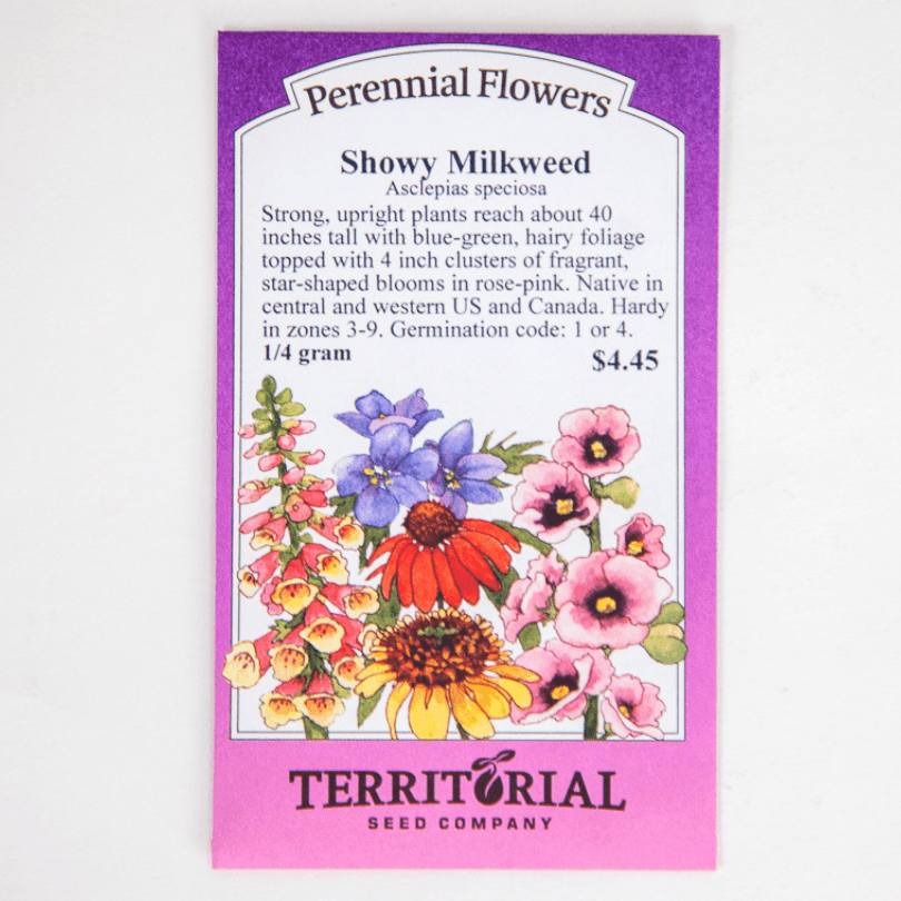 Showy Milkweed Seeds Flower Seeds Territorial Seed Company and Perennials