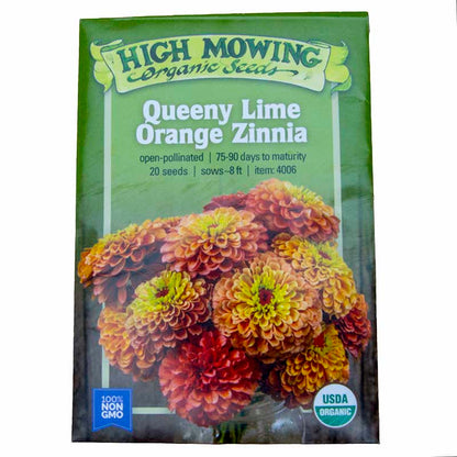 Queeny Lime Orange Organic Zinnia Seeds Flower Seeds High Mowing Seeds and Perennials