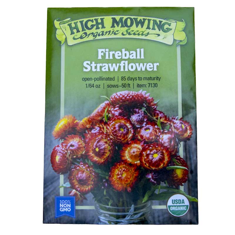 Fireball Organic Strawflower Seeds Flower Seeds High Mowing Seeds and Perennials