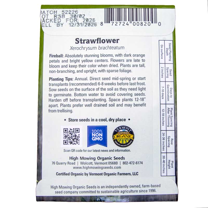 Fireball Organic Strawflower Seeds Flower Seeds High Mowing Seeds and Perennials