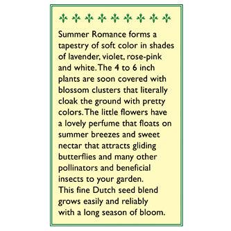 ‘Summer Romance’ Alyssum packet description