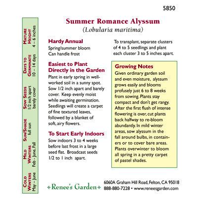 Back of ‘Summer Romance’ Alyssum seed packet with sowing information