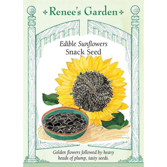 Snack Seed Edible Sunflower Seeds Flower Seeds Renee's Garden and Perennials
