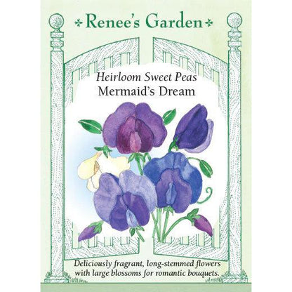 Mermaid’s Dream Heirloom Sweet Pea Seeds Flower Seeds Renee's Garden and Perennials
