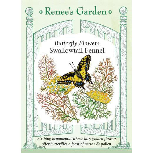 Swallowtail Fennel Butterfly Flower Seeds Flower Seeds Renee's Garden and Perennials