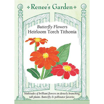 Torch Tithonia Butterfly Flower Seeds Flower Seeds Renee's Garden and Perennials