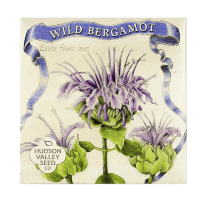 Wild Bergamot Native Flower Seeds Flower Seeds Hudson Valley Seed Company and Perennials