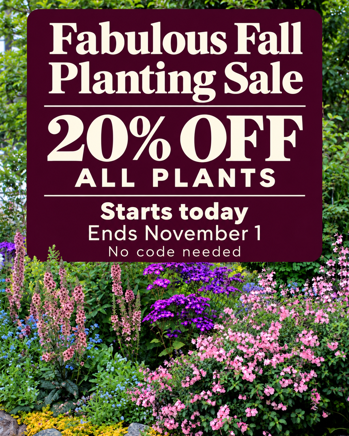 Fabulous Fall Planting Sale. 20% off all plants. Starts today, ends November 1. No code needed.