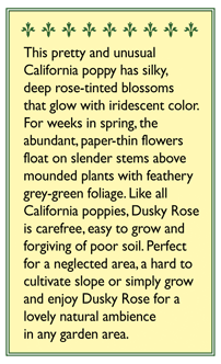 Seed packet information for Dusky Rose California Poppy