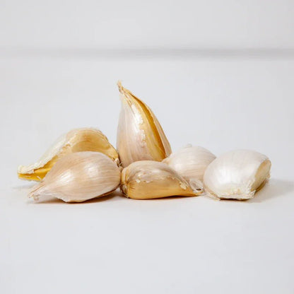 Elephant Garlic for Planting | Annie's Annuals Garlic Grow Organic and Perennials