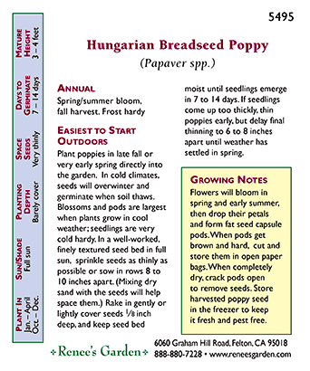 Hungarian Breadseed Poppy Seeds Flower Seeds Renee's Garden and Perennials
