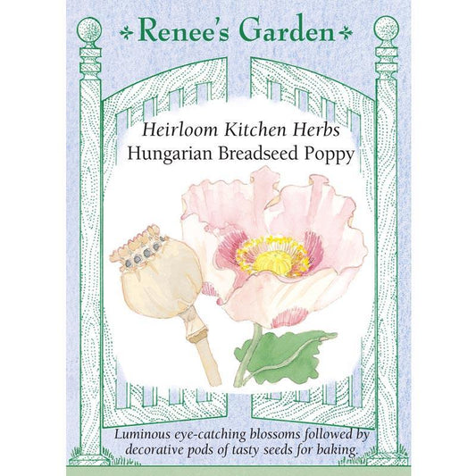 Hungarian Breadseed Poppy Seeds Flower Seeds Renee's Garden and Perennials